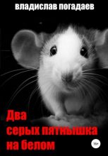 Книга - Владислав Михайлович Погадаев - Два серых пятнышка на белом (fb2) читать без регистрации