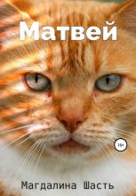 Книга - Магдалина  Шасть - Матвей (fb2) читать без регистрации