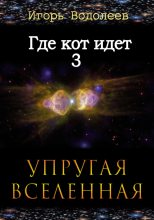 Книга - Игорь  Водолеев - Где кот идет 3. Упругая вселенная (fb2) читать без регистрации