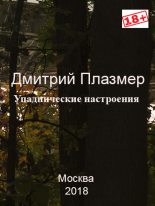 Книга - Дмитрий  Плазмер (Plazmer) - Упаднические настроения (fb2) читать без регистрации