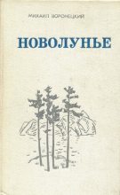 Книга - Михаил Гаврилович Воронецкий - Новолунье (fb2) читать без регистрации