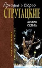 Книга - Аркадий и Борис  Стругацкие - Испытание «СКИБР» (fb2) читать без регистрации
