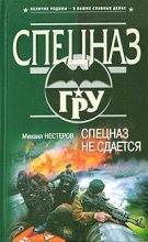 Книга - Михаил Петрович Нестеров - Спецназ не сдается (fb2) читать без регистрации