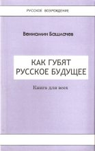 Книга - Вениамин Анатольевич Башлачёв - Как губят Русское Будущее (fb2) читать без регистрации