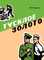 Книга - Вениамин Семенович Рудов - Тусклое золото (fb2) читать без регистрации