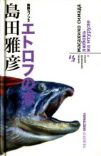 Книга - Масахико  Симада - Любовь на Итурупе (fb2) читать без регистрации