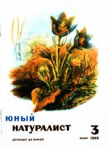 Книга - Журнал  «Юный натуралист» - Юный натуралист 1940 №3 (fb2) читать без регистрации