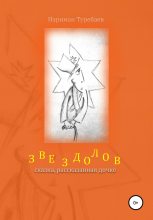 Книга - Нариман  Туребаев - Звездолов (fb2) читать без регистрации
