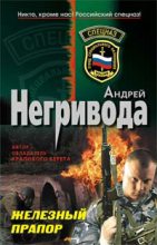 Книга - Андрей Алексеевич Негривода - Железный прапор (fb2) читать без регистрации