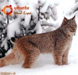 Книга - Вадим  Неворотин - Руководство по переходу на Ubuntu 10.04 LTS «Lucid Lynx» (fb2) читать без регистрации