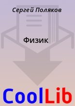Книга - Сергей  Поляков - Физик (fb2) читать без регистрации