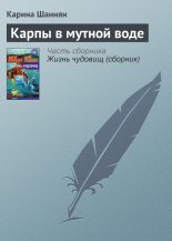 Книга - Карина Сергеевна Шаинян - Карпы в мутной воде (fb2) читать без регистрации