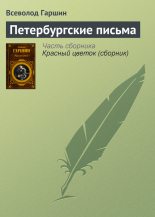 Книга - Всеволод Михайлович Гаршин - Петербургские письма (fb2) читать без регистрации