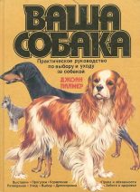 Книга - Джоан  Палмер - Ваша собака. Практическое руководство по выбору и уходу за собакой (fb2) читать без регистрации