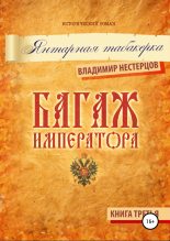 Книга - Владимир Дмитриевич Нестерцов - Багаж императора. Книга третья. Янтарная табакерка (fb2) читать без регистрации