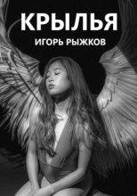 Книга - Игорь  Рыжков - Крылья (fb2) читать без регистрации