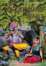Книга - Радханатха  Свами - Кришна-лила (fb2) читать без регистрации