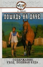 Книга - Екатерина  Рыбас - Лошадь на даче (fb2) читать без регистрации
