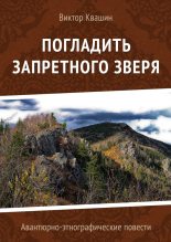 Книга - Виктор  Квашин - Погладить запретного зверя (fb2) читать без регистрации