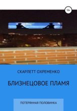 Книга - Скарлетт  Охременко - Близнецовое пламя, или потерянная половинка (fb2) читать без регистрации