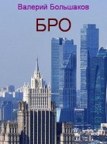Книга - Валерий Петрович Большаков - Бро (fb2) читать без регистрации