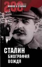 Книга - Арсен Беникович Мартиросян - Сталин: биография вождя (fb2) читать без регистрации
