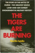 Книга - Мартин  Кэйдин - «Тигры» горят! (fb2) читать без регистрации