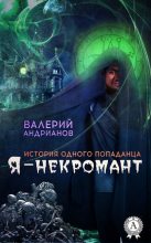 Книга - Валерий Александрович Андрианов - Я – некромант. Часть 1 (fb2) читать без регистрации
