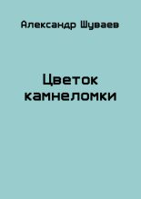 Книга - Александр Викторович Шуваев - Цветок камнеломки (fb2) читать без регистрации