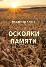 Книга - Владимир Александрович Киеня - Осколки памяти (fb2) читать без регистрации