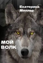 Книга - Екатерина  Миллер - Мой волк (СИ) (fb2) читать без регистрации
