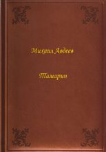 Книга - Михаил Васильевич (1876) Авдеев (писатель) - Тамарин (fb2) читать без регистрации