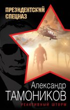 Книга - Александр Александрович Тамоников - Реактивный шторм (fb2) читать без регистрации