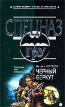Книга - Михаил Петрович Нестеров - Черный беркут (fb2) читать без регистрации