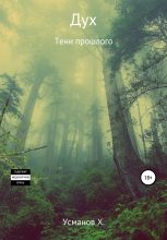 Книга - Хайдарали Мирзоевич Усманов - Тени прошлого (fb2) читать без регистрации