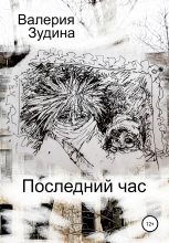 Книга - Валерия  Зудина - Последний час (fb2) читать без регистрации