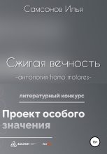 Книга - Илья Михайлович Самсонов - Сжигая вечность (fb2) читать без регистрации
