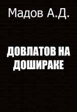 Книга - Андрей Дмитриевич Мадов - Довлатов на Дошираке (fb2) читать без регистрации