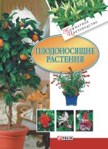Книга - Татьяна Николаевна Дорошенко - Плодоносящие растения (fb2) читать без регистрации