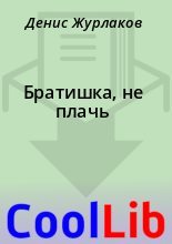 Книга - Денис  Журлаков - Братишка, не плачь (fb2) читать без регистрации