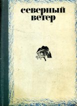 Книга - Виктор Федорович Потанин - Северный ветер (fb2) читать без регистрации