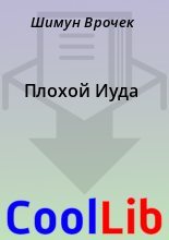 Книга - Шимун  Врочек - Плохой Иуда (fb2) читать без регистрации