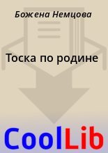 Книга - Божена  Немцова - Тоска по родине (fb2) читать без регистрации