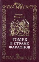Книга - Альфред  Шклярский - Томек в стране фараонов (fb2) читать без регистрации