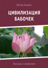 Книга - Виктор  Квашин - Цивилизация бабочек (fb2) читать без регистрации
