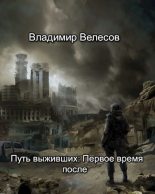 Книга - Владимир  Велесов - Путь выживших: Первое время после (fb2) читать без регистрации