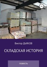 Книга - Виктор Елисеевич Дьяков - Складская история (fb2) читать без регистрации