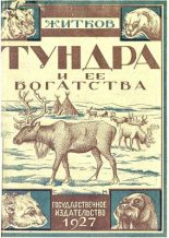 Книга - Борис Михайлович Житков - Тундра и ее богатства (fb2) читать без регистрации