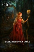 Книга - Ольга  Олие - Как царевич жену искал (fb2) читать без регистрации