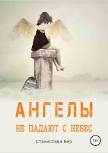 Книга - Станислава  Бер - Ангелы не падают с небес (fb2) читать без регистрации